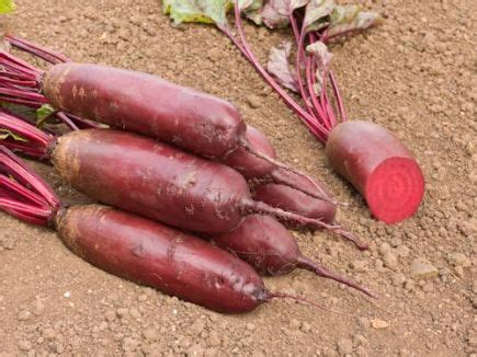 Organic Beetroot Foniro